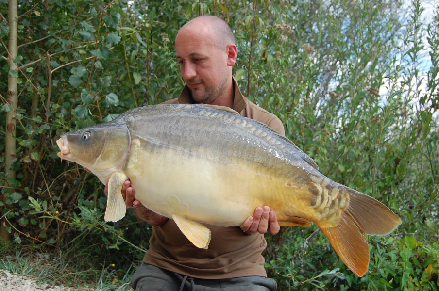 28lb 4oz August 2015