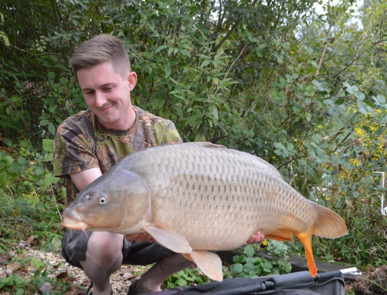 25lb September 2015