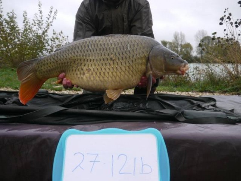 Stocked 27lb 12oz January 2014