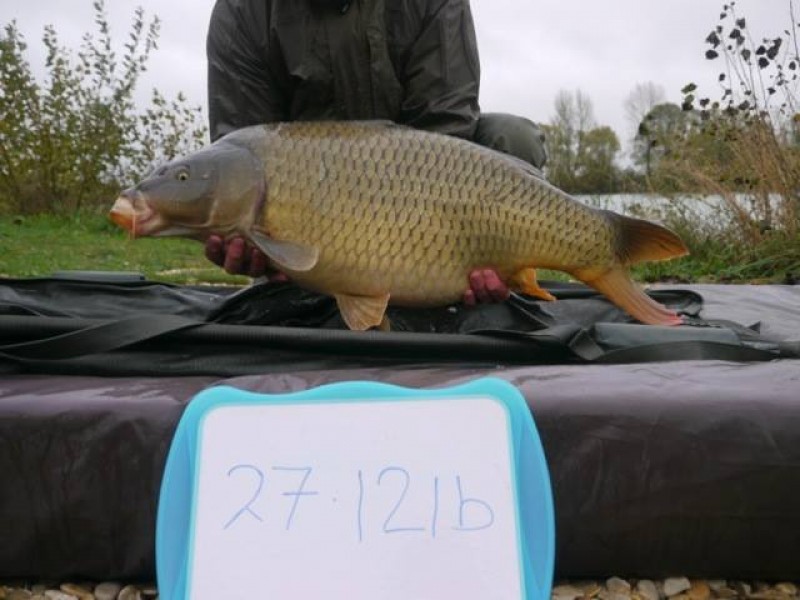 Stocked 27lb 12oz January 2014