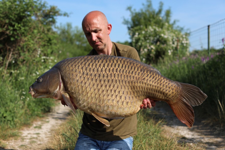Chris, 45lb, Shingles, 14/05/2022