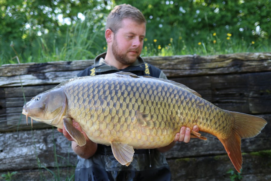 Josh Edwards - The Beach - 39lb 10oz - 04/05/2024