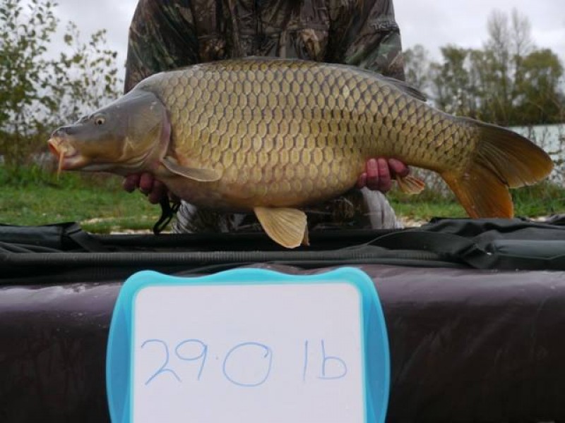 Stocked 29lb January 2014