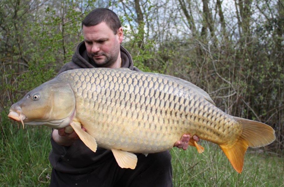 37lb April 2016