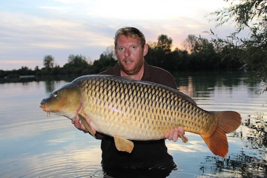 39lb 8oz Turtles Corner September 2016