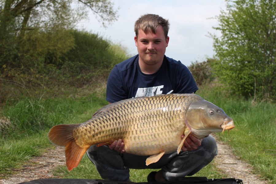 42lb, Turtles Corner, April 2017