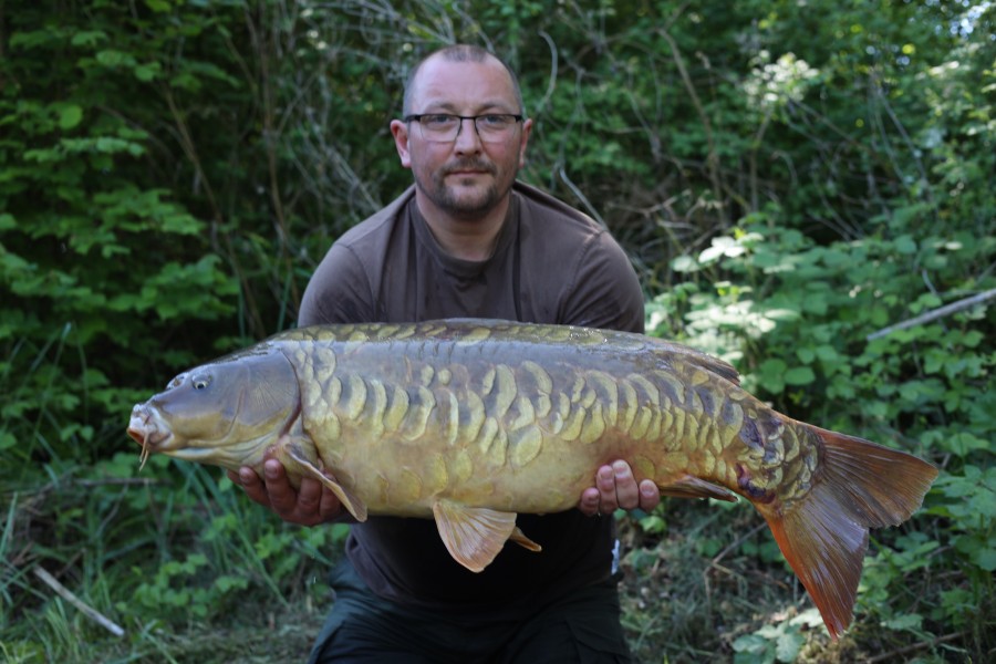 Lee Campbell - Turtles Corner - 31lb 4oz - 26/04/2025