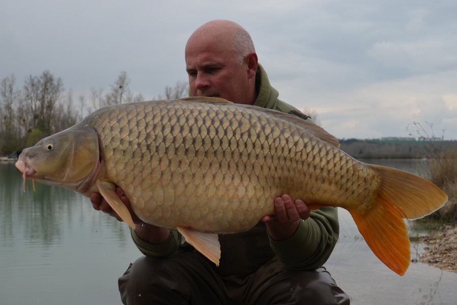 30lb 9oz The Beach April 2016