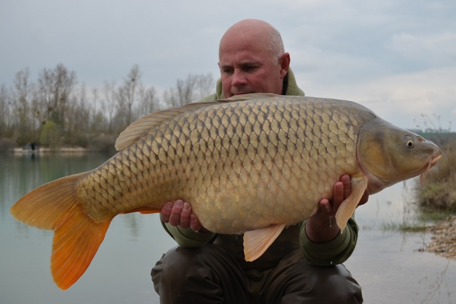 30lb 9oz The Beach April 2016