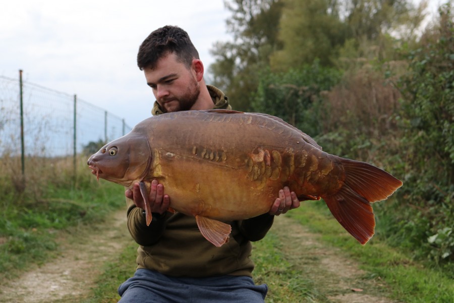 Adam Smith - Shingles - 38lb 4oz - 21/09/2024