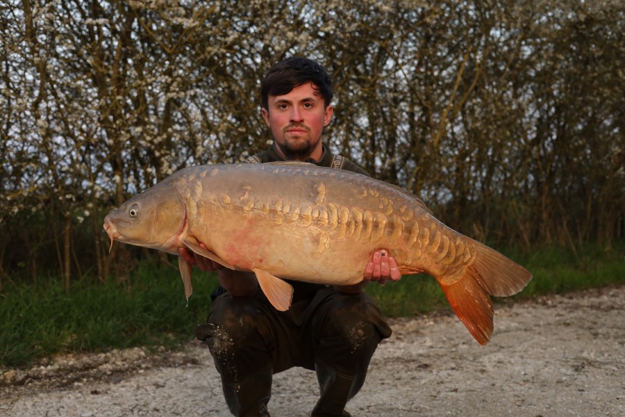 Wade Kennerey - Turtles - 36lb 8oz - 21/03/2026