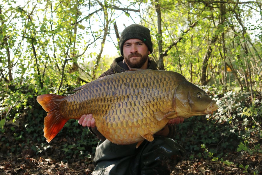 Steve Ackland - 41lb 8oz - beach - 16/04/2022