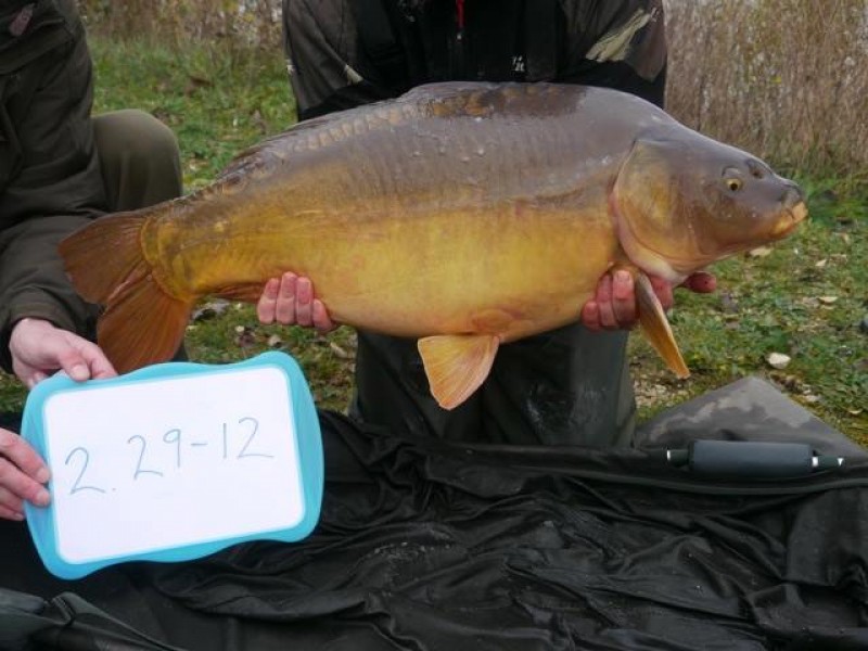 Stocked 29lb 12oz January 2014