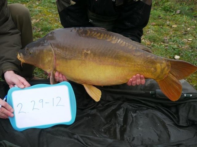 Stocked 29lb 12oz January 2014