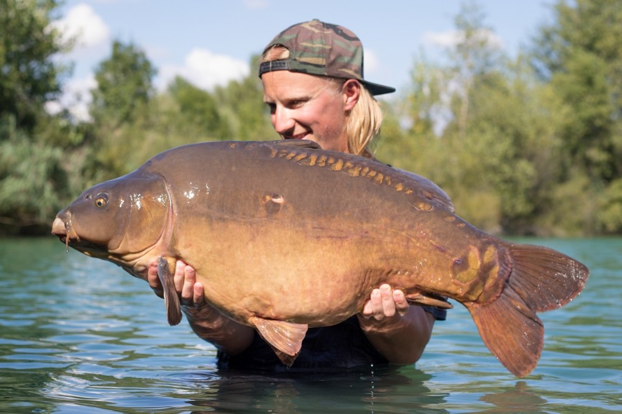 39lb 8oz Bacheliers August 2016