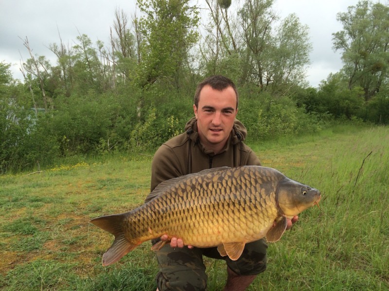 24lb May 2016 Billies