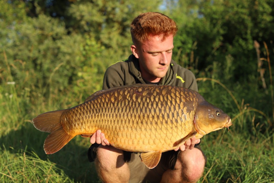 Dan Price, 26lb, Turtle Corner, 22.06.19