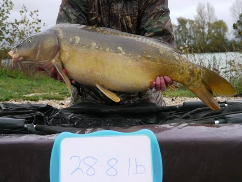 Stocked 28lb 8oz January 2014