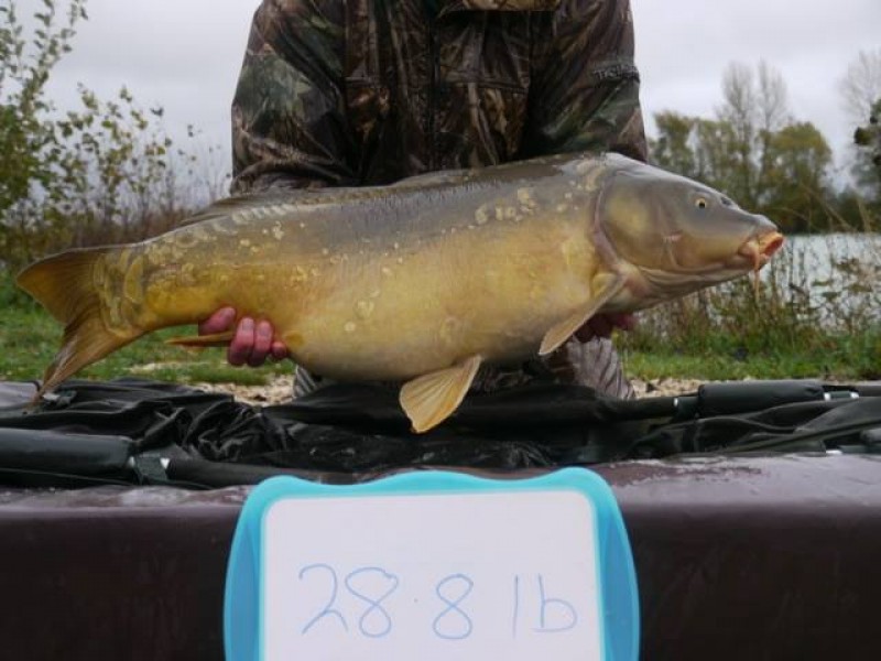 Stocked 28lb 8oz January 2014