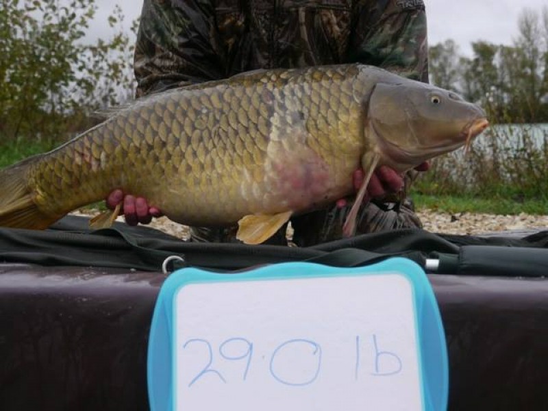 Stocked 29lb January 2014