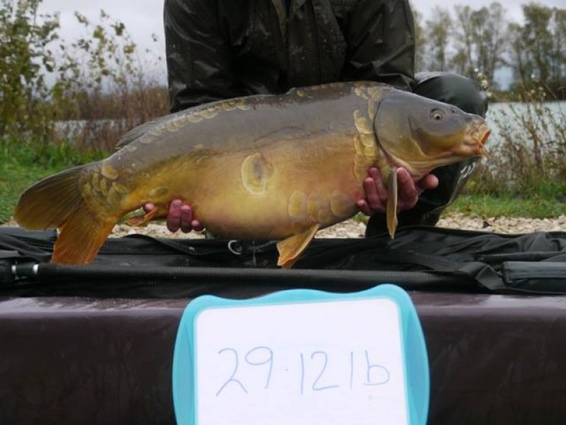 Stocked 29lb 12oz January 2014