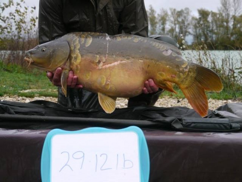 Stocked 29lb 12oz