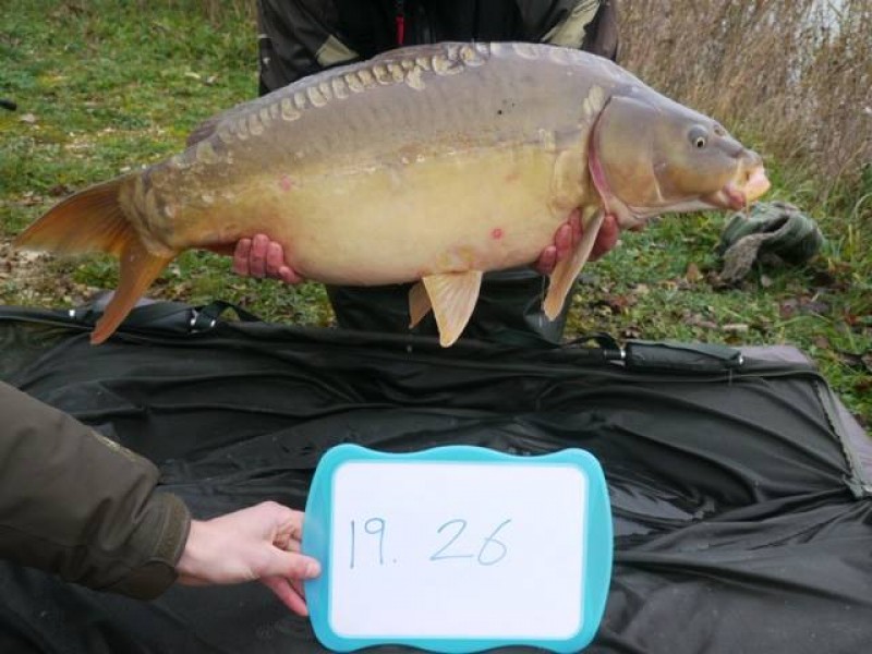 Stocked 26lb January 2014