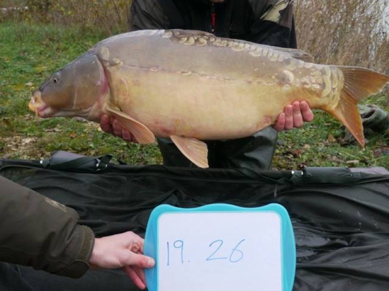 Stocked 26lb January 2014