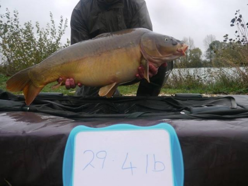 Stocked 29lb 4oz January 2014