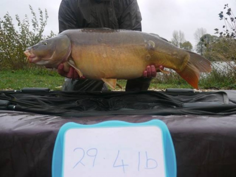 Stocked 29lb 4oz January 2014