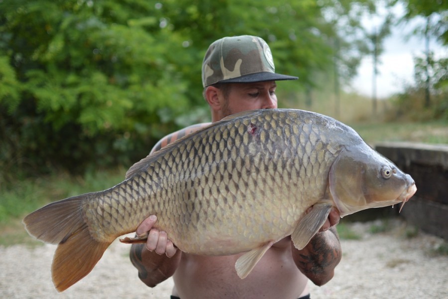 33lb Dunkerque August 2016