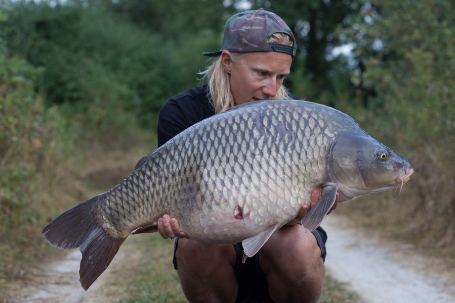 36lb 6oz Bacheliers August 2016