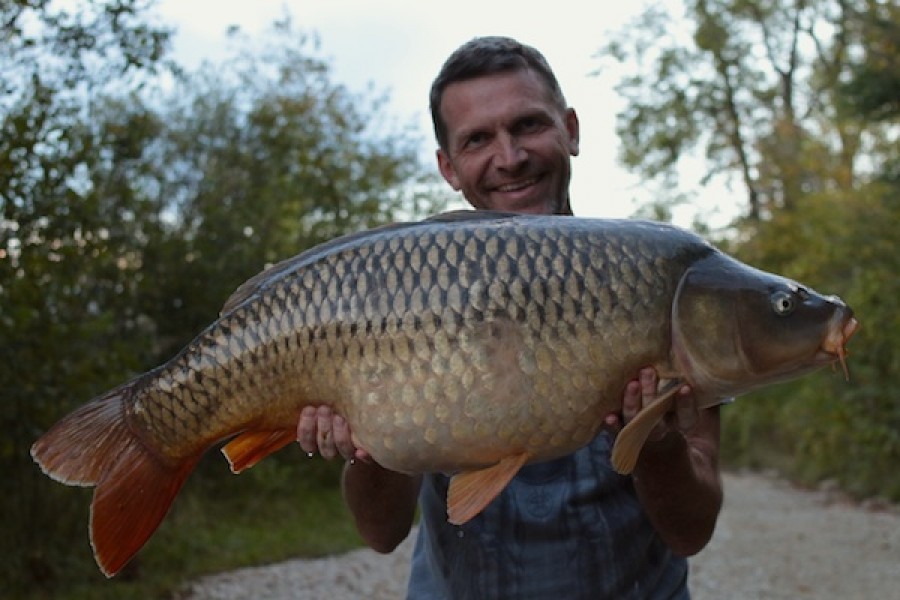 34lb Decoy September 2016