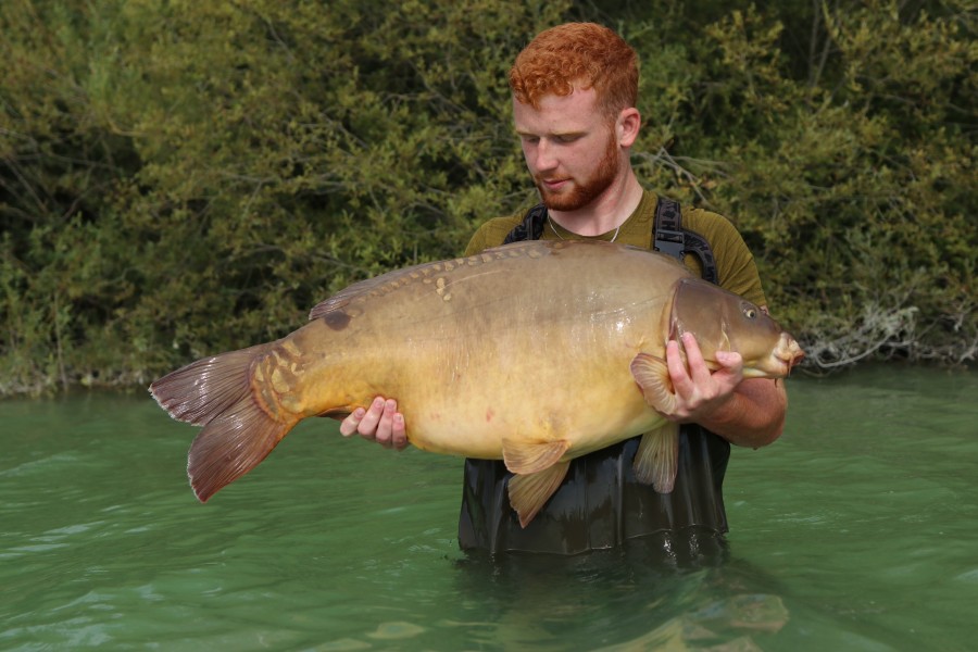 Ben Darch - Brambles - 38lb - 17/08/2024