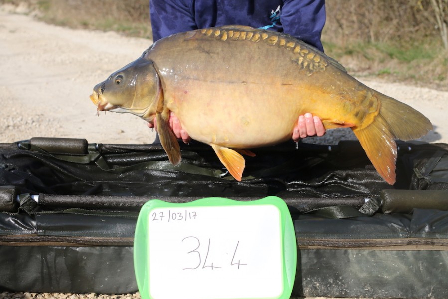 2017 Road lake stocking 34lb 4oz