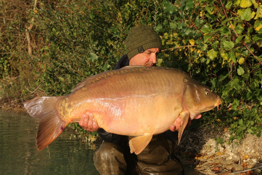 Chris Irving, 50lb 3oz, Brambles, 30/09/2023