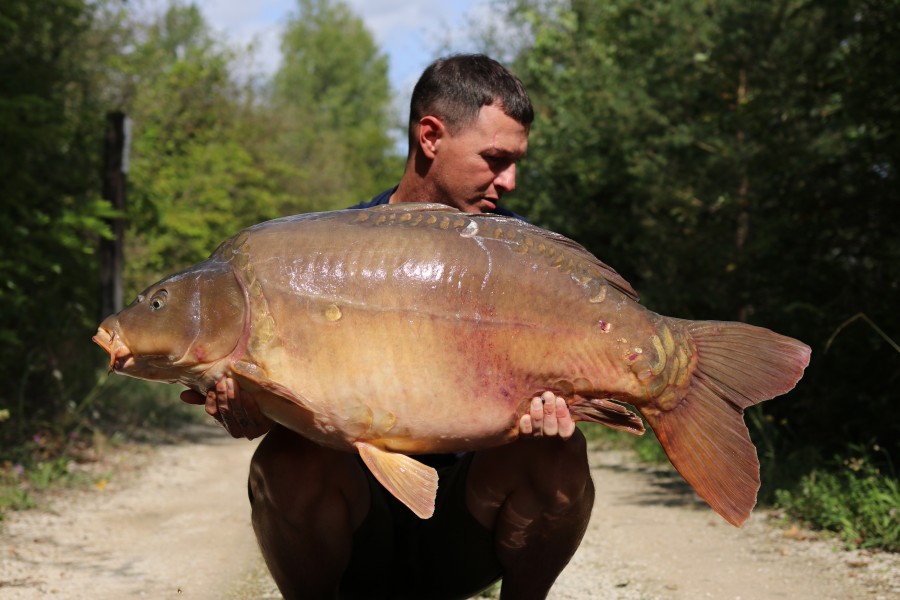 Zac Lendore - Decoy - 49lb 15oz - 17/08/2024
