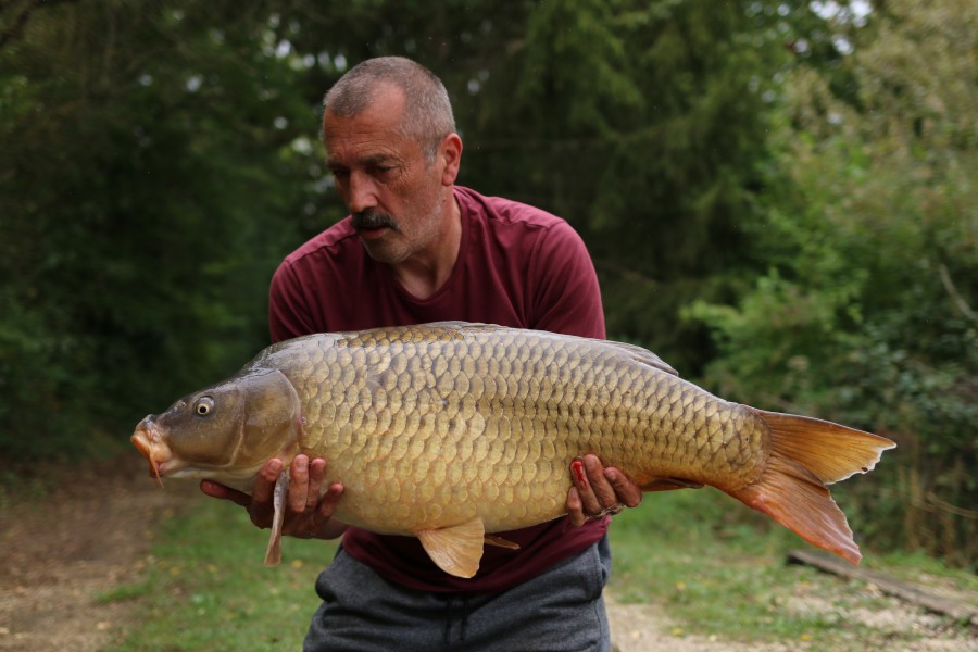 Darren Haus - 33lb 8oz - Beach - 25.09.2021