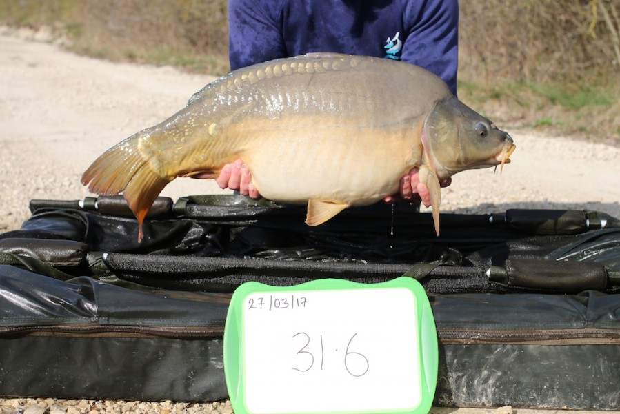 2017 Road lake stocking 31lb 6oz