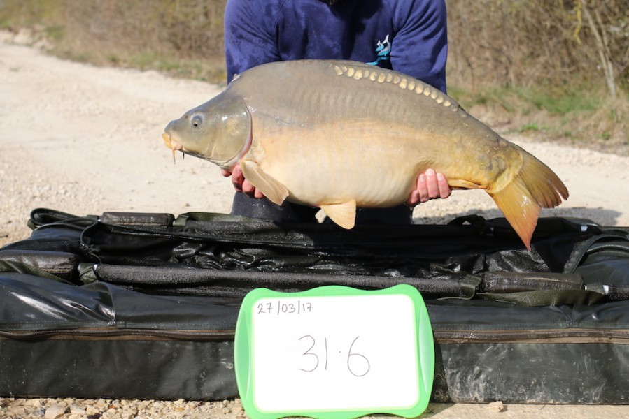 2017 Road lake stocking 31lb 6oz