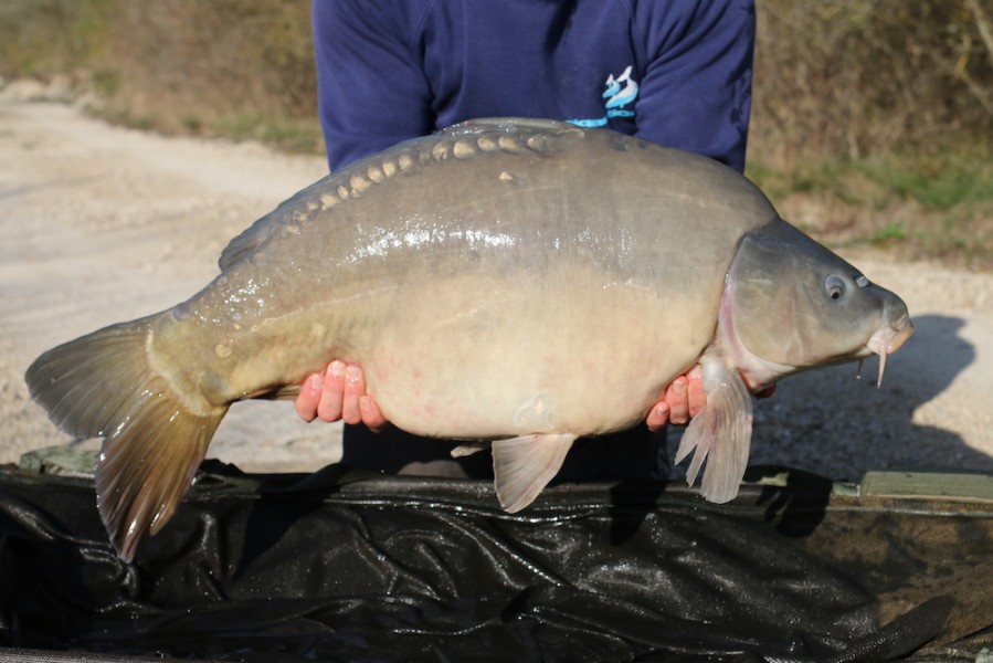 33lb 2oz 2017 Road lake stocking