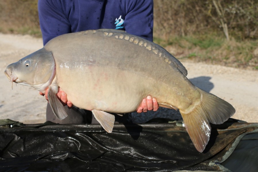 33lb 2oz 2017 Road lake stocking