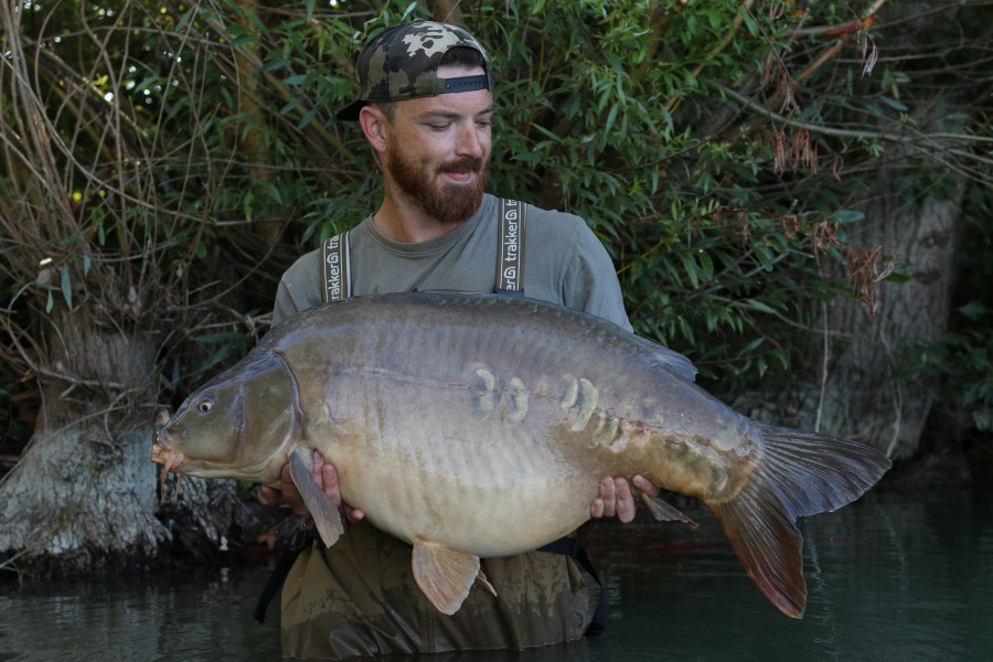 Deacon Ollie - 54lb 12oz - Turtles Corner - 28/08/2021