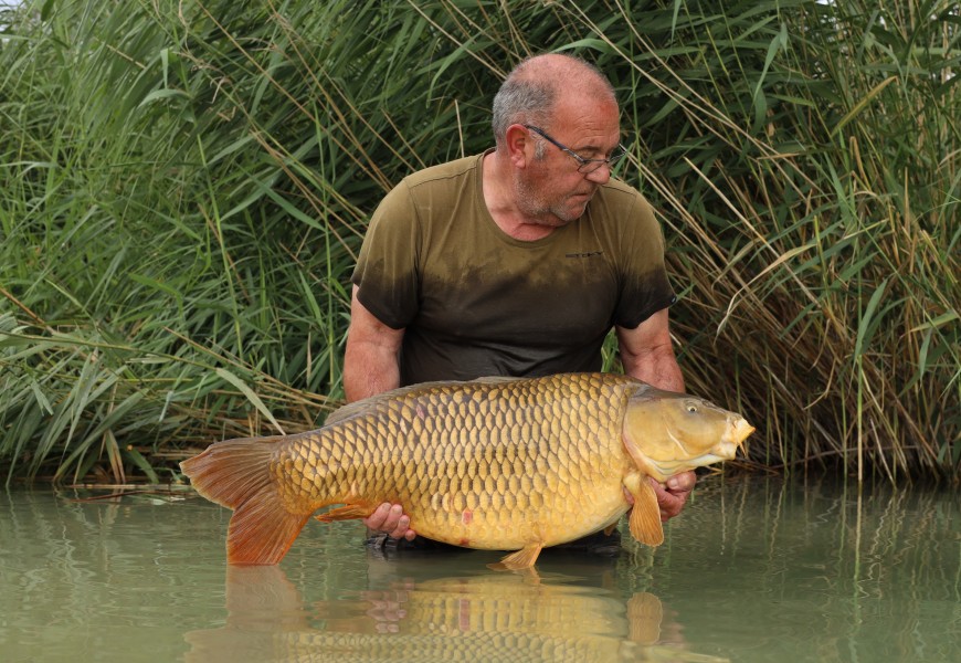 Ron Harden, 39lb 10oz, Tea Party1, 26/07/2025