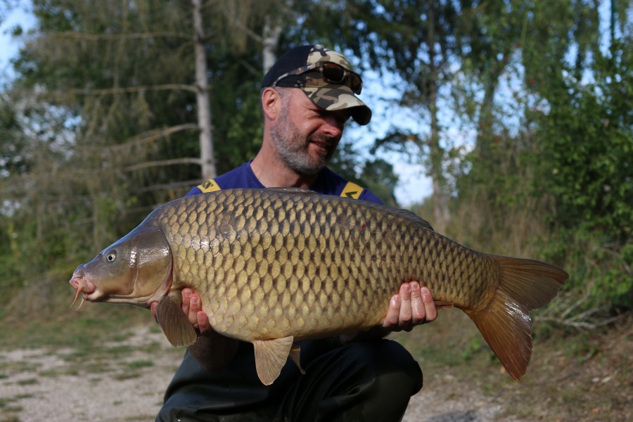 Andy Lewis - 31lb 8oz - Beach - 28/08/2021