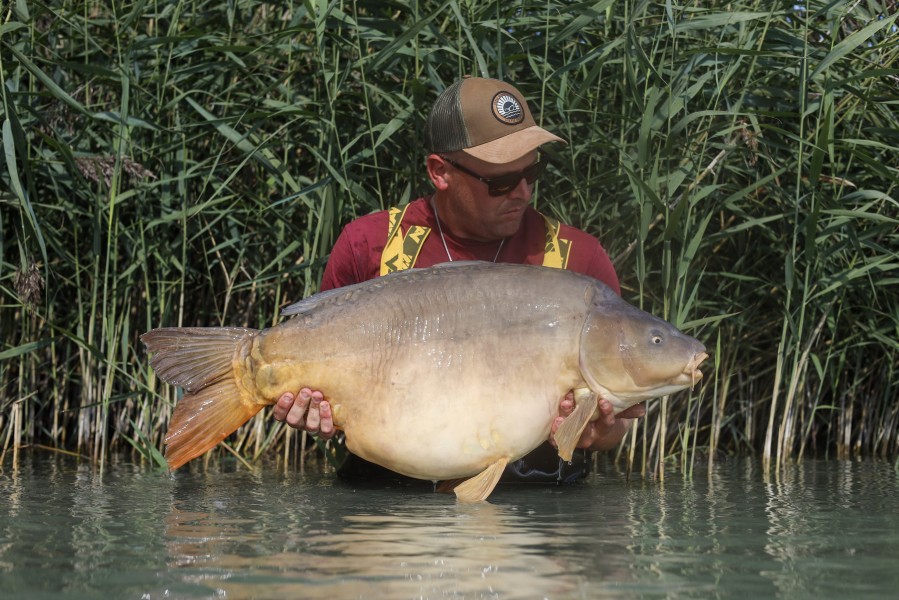 Dave Verger, 52lb, Tea Party 2, 27/09/2025