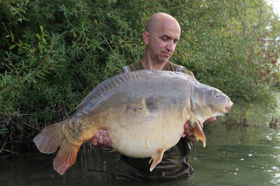 Chris - Shingles - 44lb 4oz - 03/08/2022