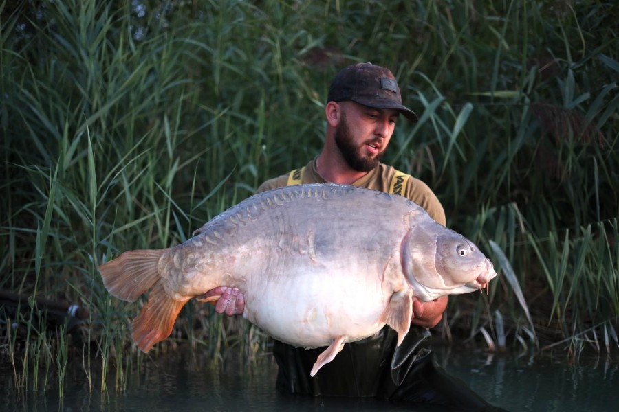 Matt Ward, 50lb, The Beach, 23/08/2025