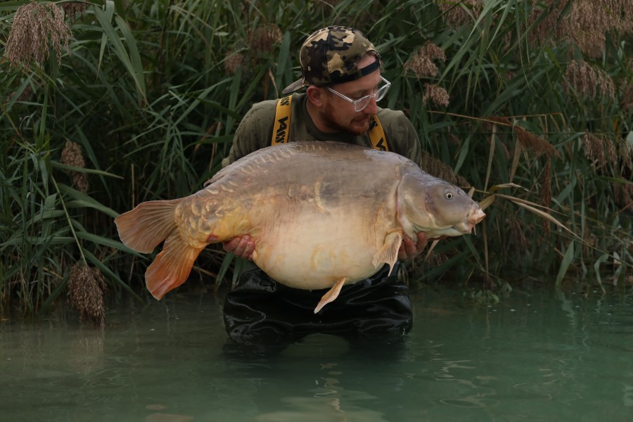 Ross Chamerlain - 49lb 8oz - The Beach - 06/09/2025