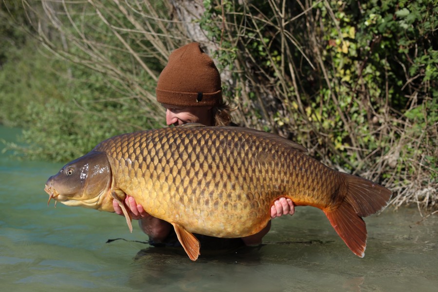Tom Wager - Brambles - 52lb 4oz - 25/04/2026